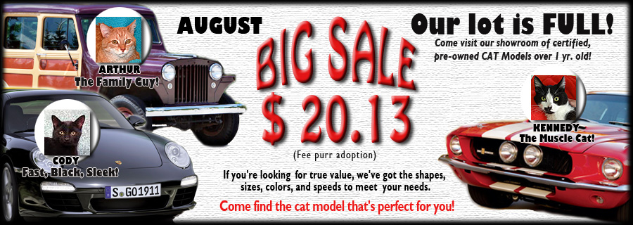 slider-Cat models’13-900-320