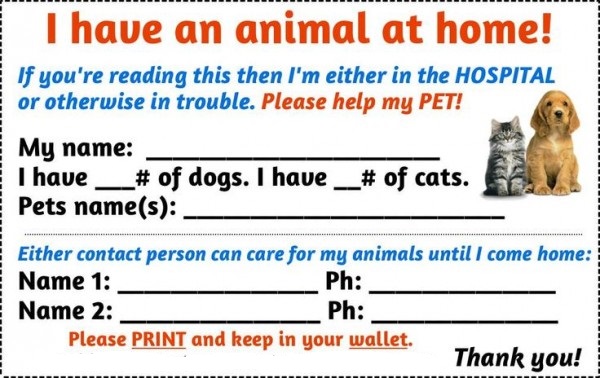 Pet-Emergency-Wallet-Card-2-600×378
