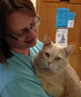 Cat of the Week – Buckley large2
