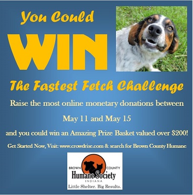 Fastest Fetch Challenge