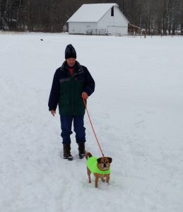 Walking dog in the snow