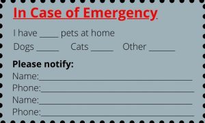 Card with emergency contact information