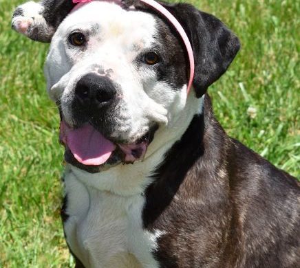 Video:  Mary Beth and her smile!