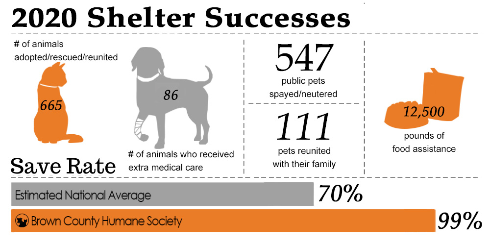 2020 Shelter Successes Infographic