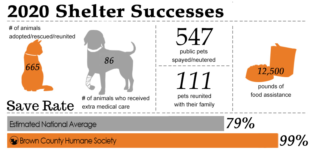 Shelter Successes Infographic