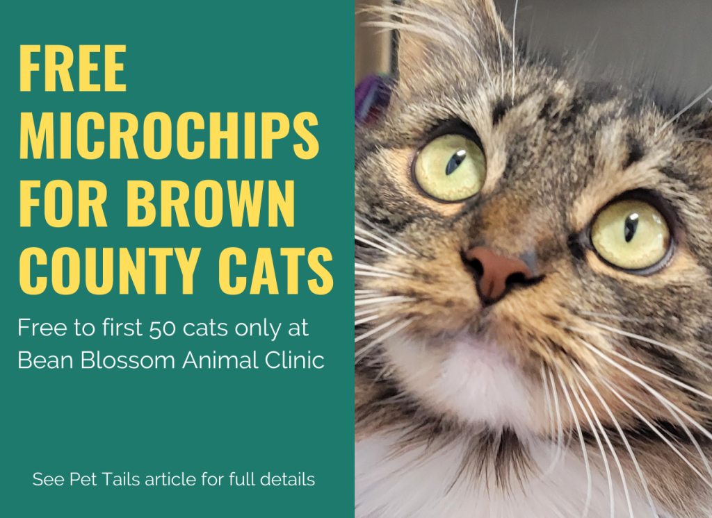 Brown County Humane Society Free Microchips for Brown County Cats