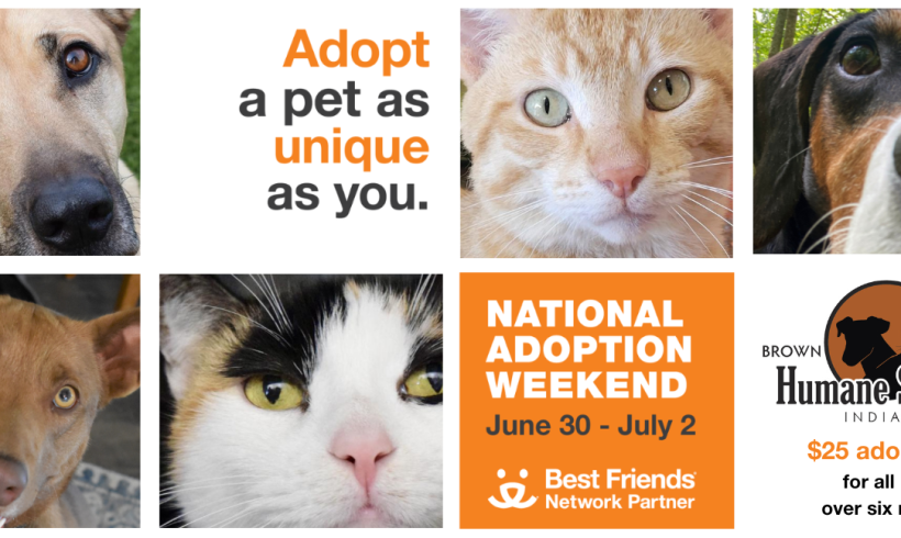 Adopt a Pet as Unique as You – $25 Adoption Special