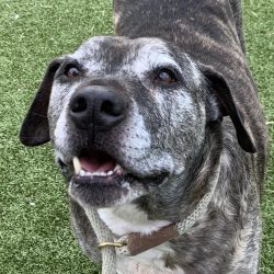 Video: Baxter