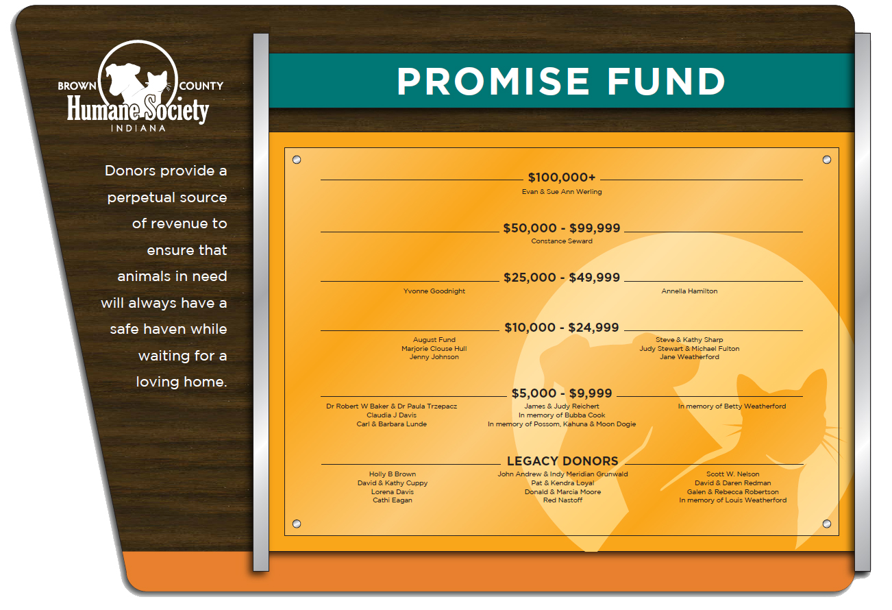 Promise Fund Board Artwork