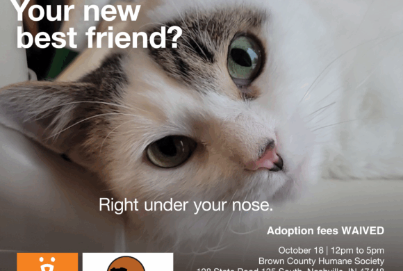 Free Adoptions Saturday, 10/18 ONLY Free Adoptions Saturday, 10/18 ONLY