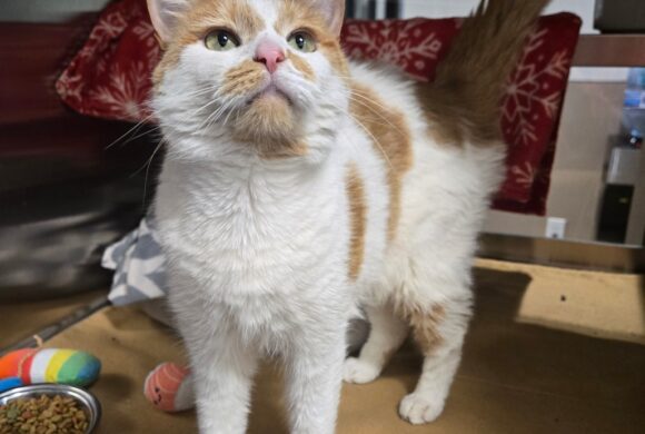 Video: Kiki Video: Kiki