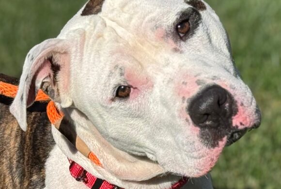 Video: Spot Video: Spot