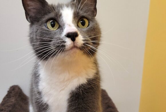 Video: Emory Video: Emory