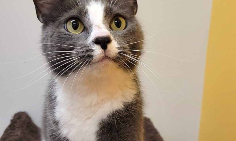 Video: Emory Video: Emory