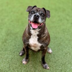 Video: Luka